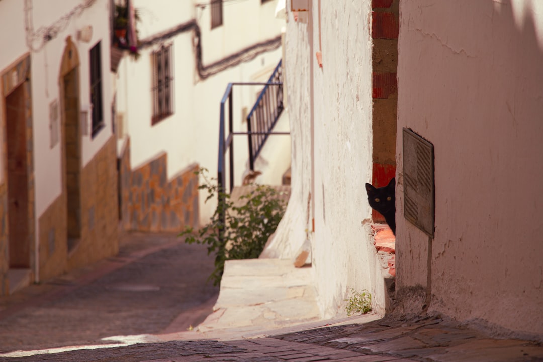 Guide to renovating your home: How to choose the best painters in Marbella