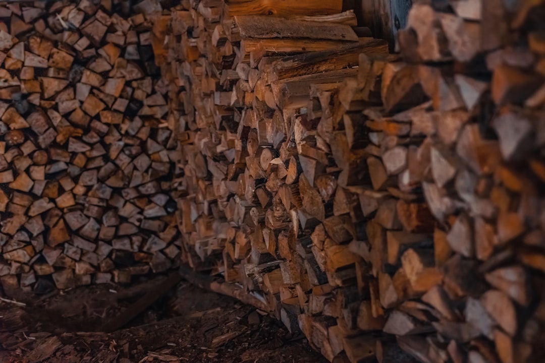 The Art of Wood Varnishing: Protecting and beautifying your home on the Costa del Sol