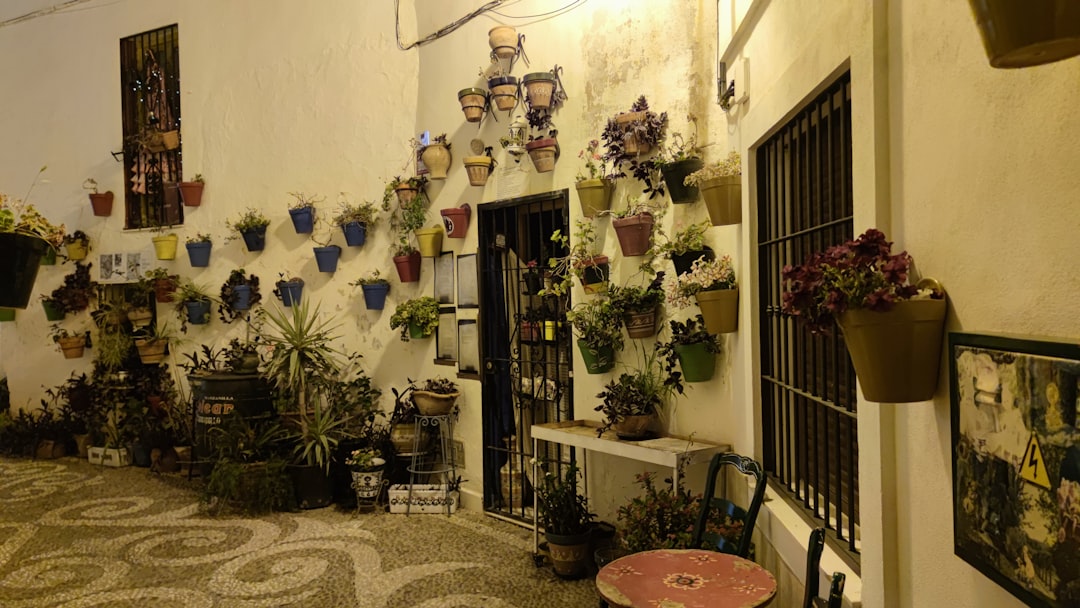 Interior decoration trends Malaga: Transform your home with style and colour